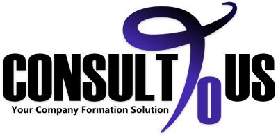 uae company formation process